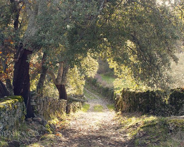 Villa Sierra De Gata Santibanez el Alto 외부 사진